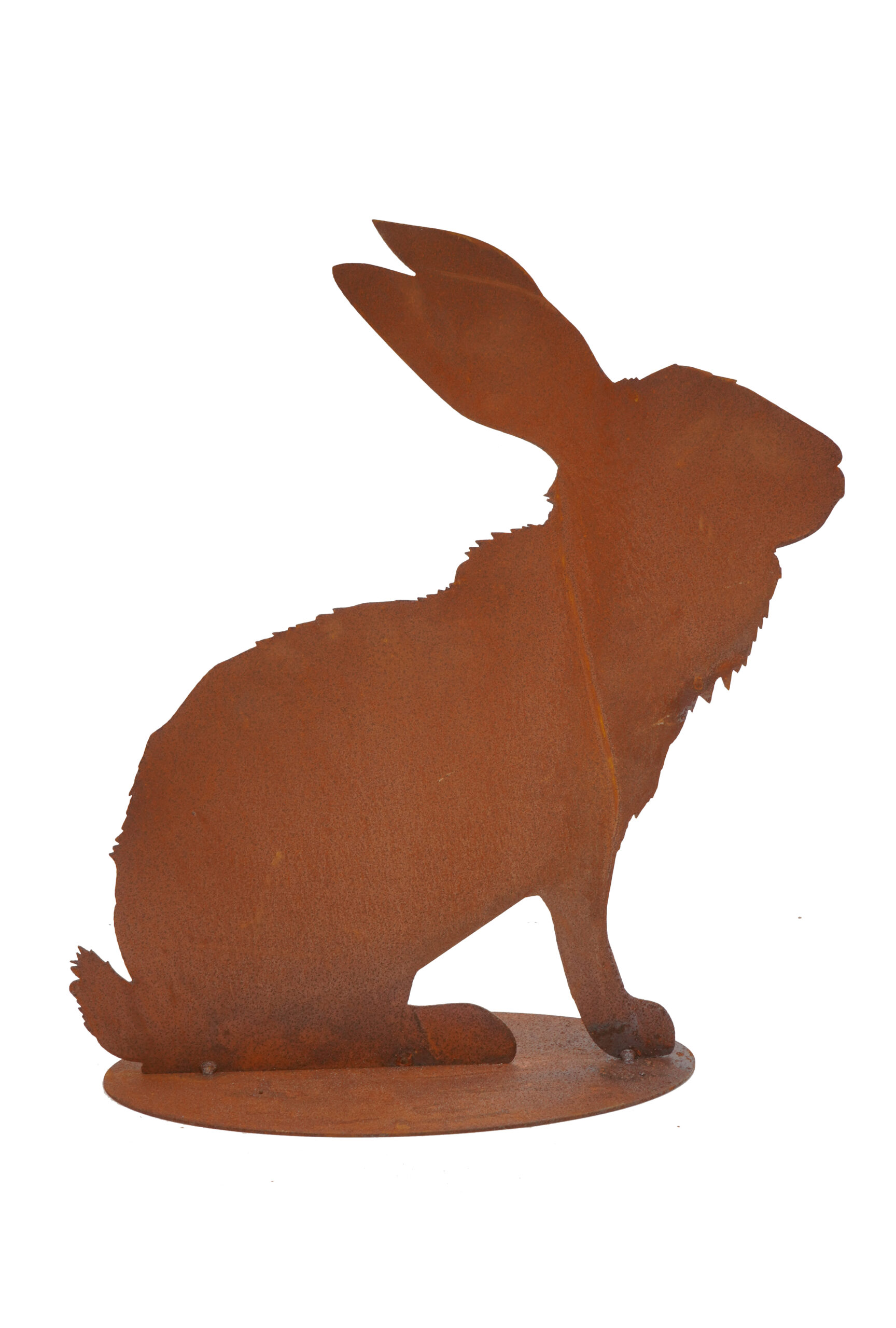 Hase -Hubert-