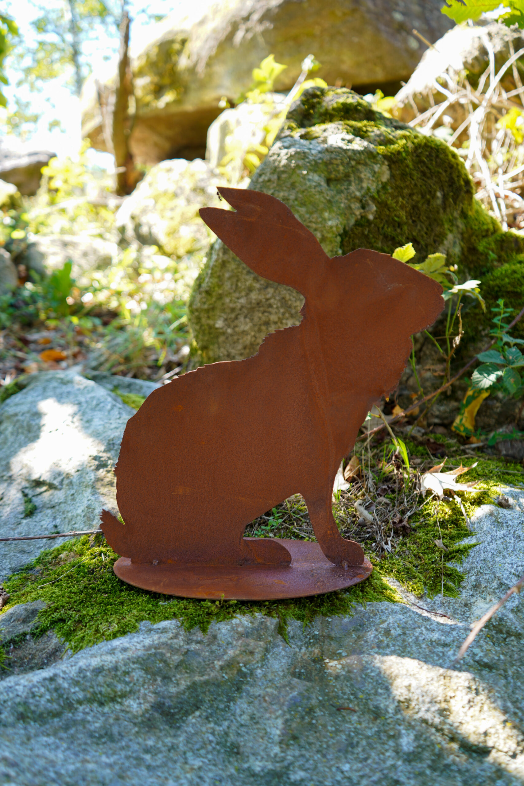 Hase -Hubert- – Bild 3