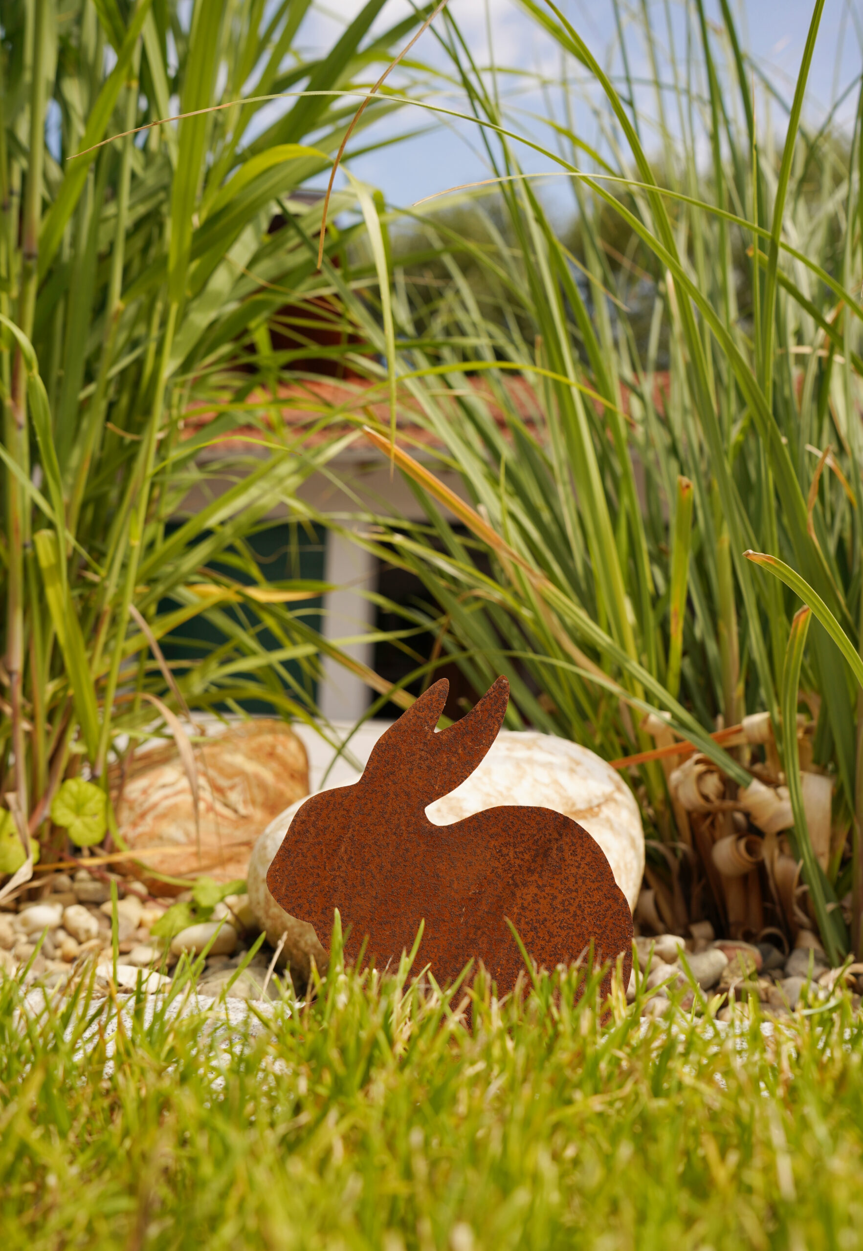 Hase -Franz- 100 – Bild 3