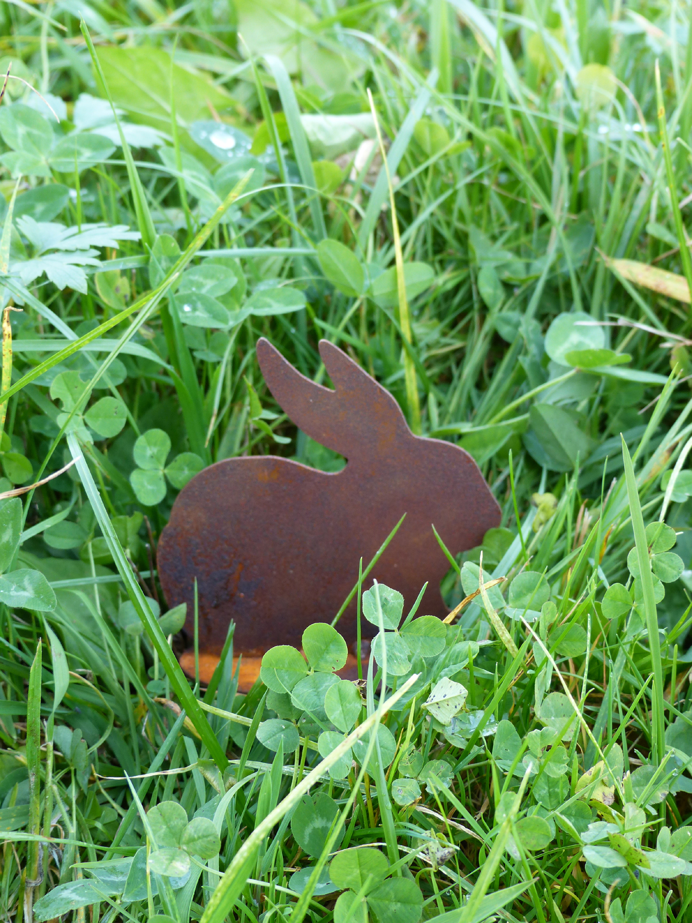 Hase -Franz- 100 – Bild 2