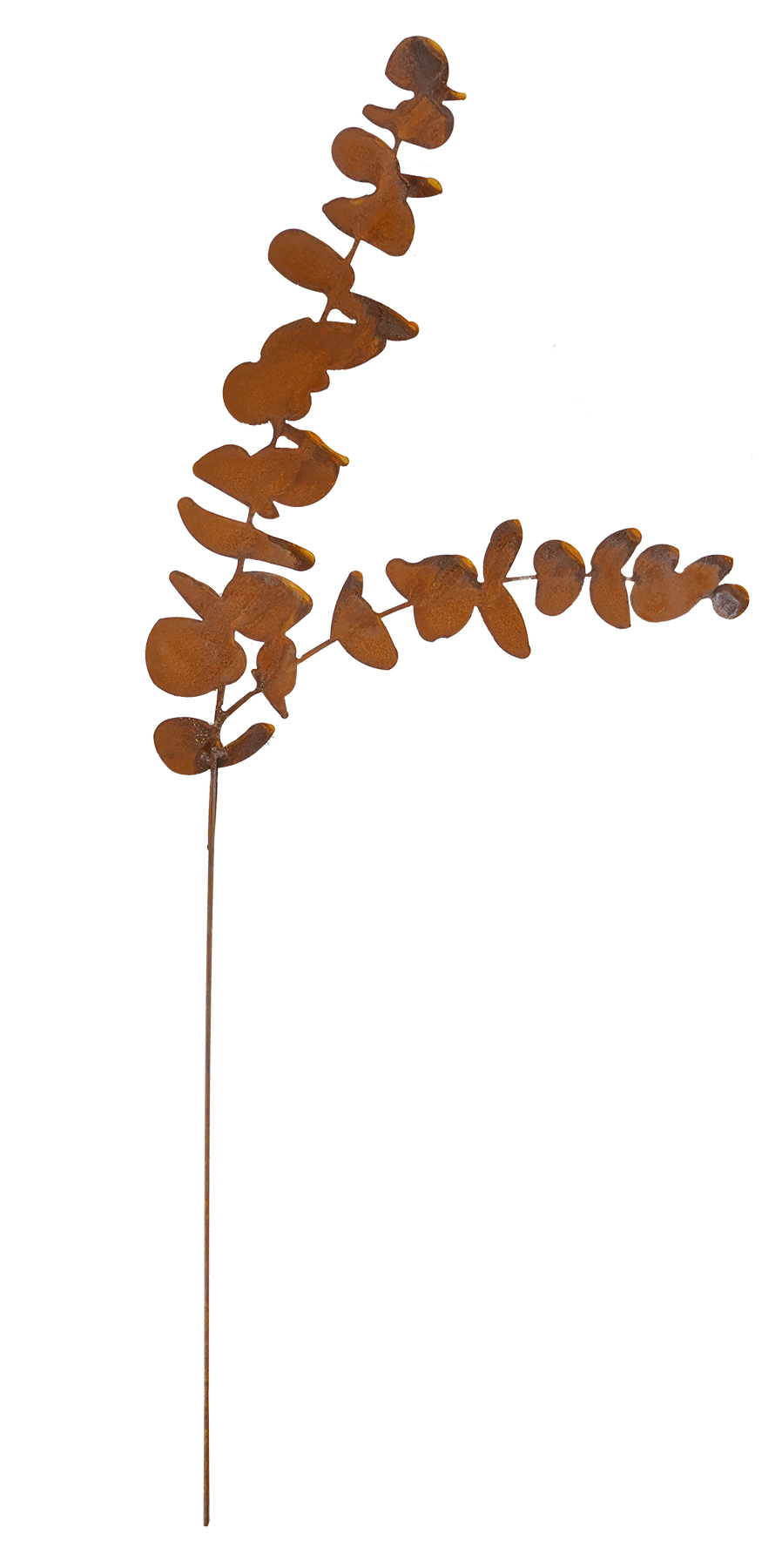 Topfstecker -Eukalyptus-