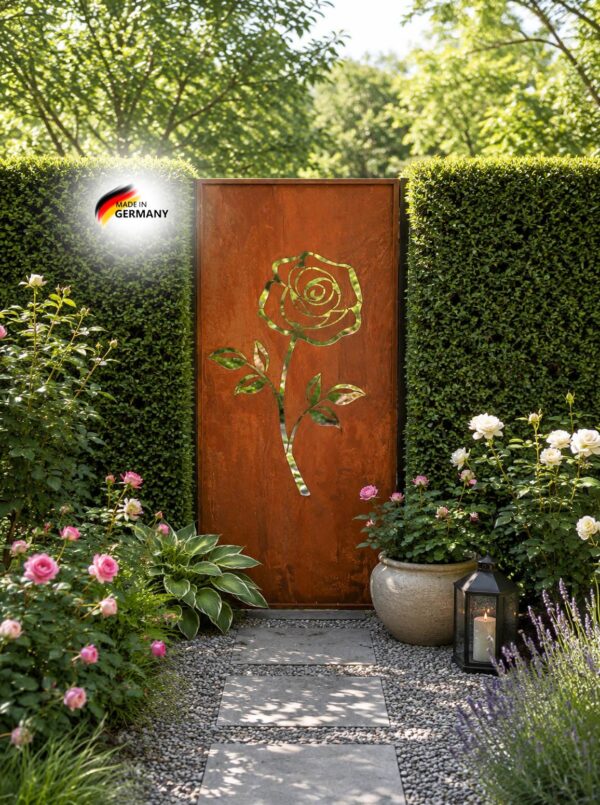 Parawand -Rose-